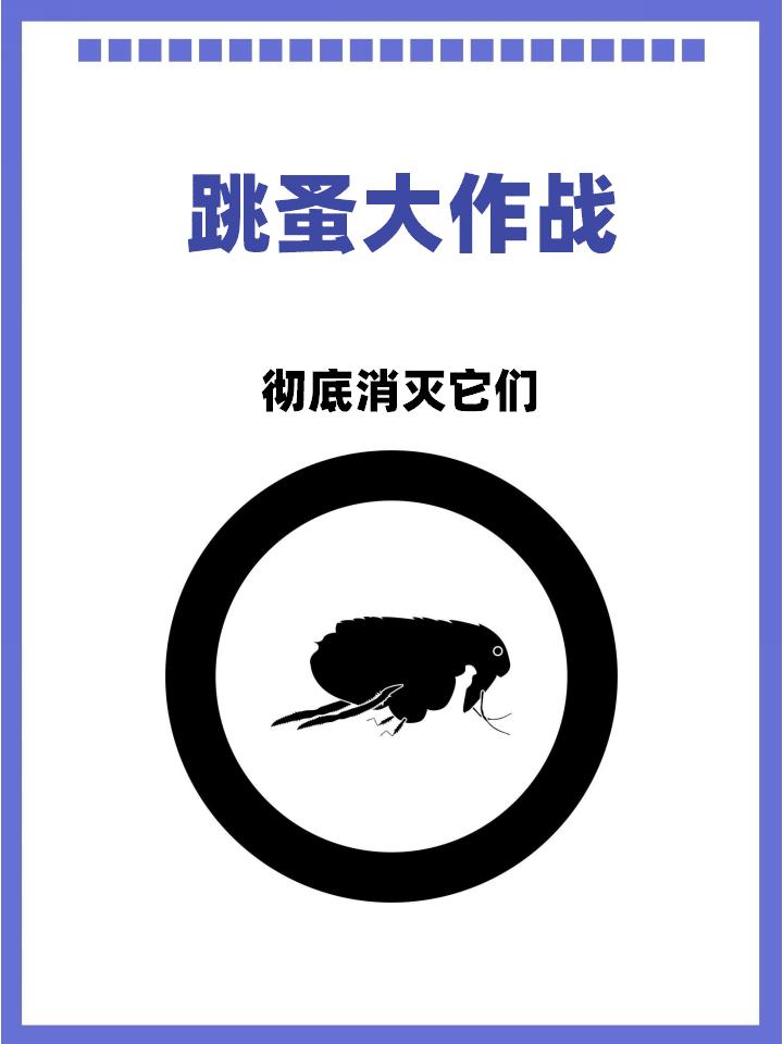 彻底消灭跳蚤的妙招_消灭妙招彻底跳蚤图片_教你6招彻底消灭跳蚤
