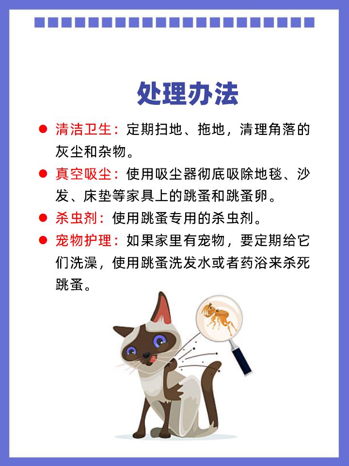 彻底消灭跳蚤的妙招_消灭妙招彻底跳蚤图片_教你6招彻底消灭跳蚤