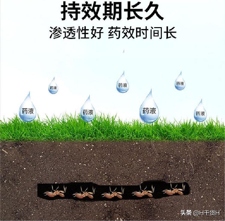 灭白蚁药_灭杀白蚁药_灭白蚁药有毒吗
