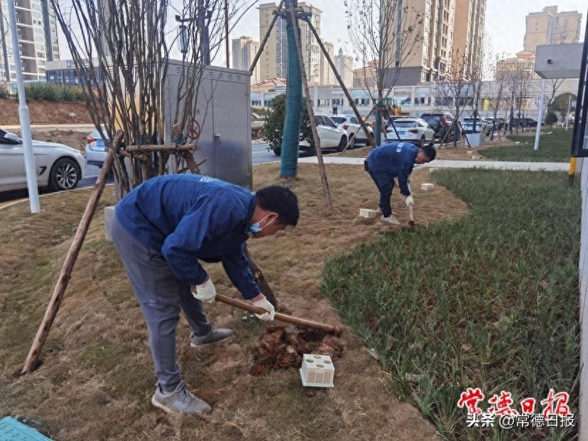 白蚁防治施工方案_白蚁防治施工方案范本_防治方案施工白蚁怎么写