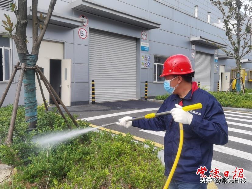 白蚁防治施工方案_防治方案施工白蚁怎么写_白蚁防治施工方案范本