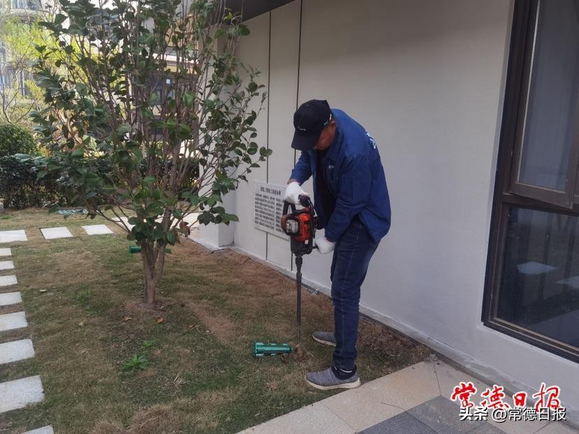 防治方案施工白蚁怎么写_白蚁防治施工方案_白蚁防治施工方案范本