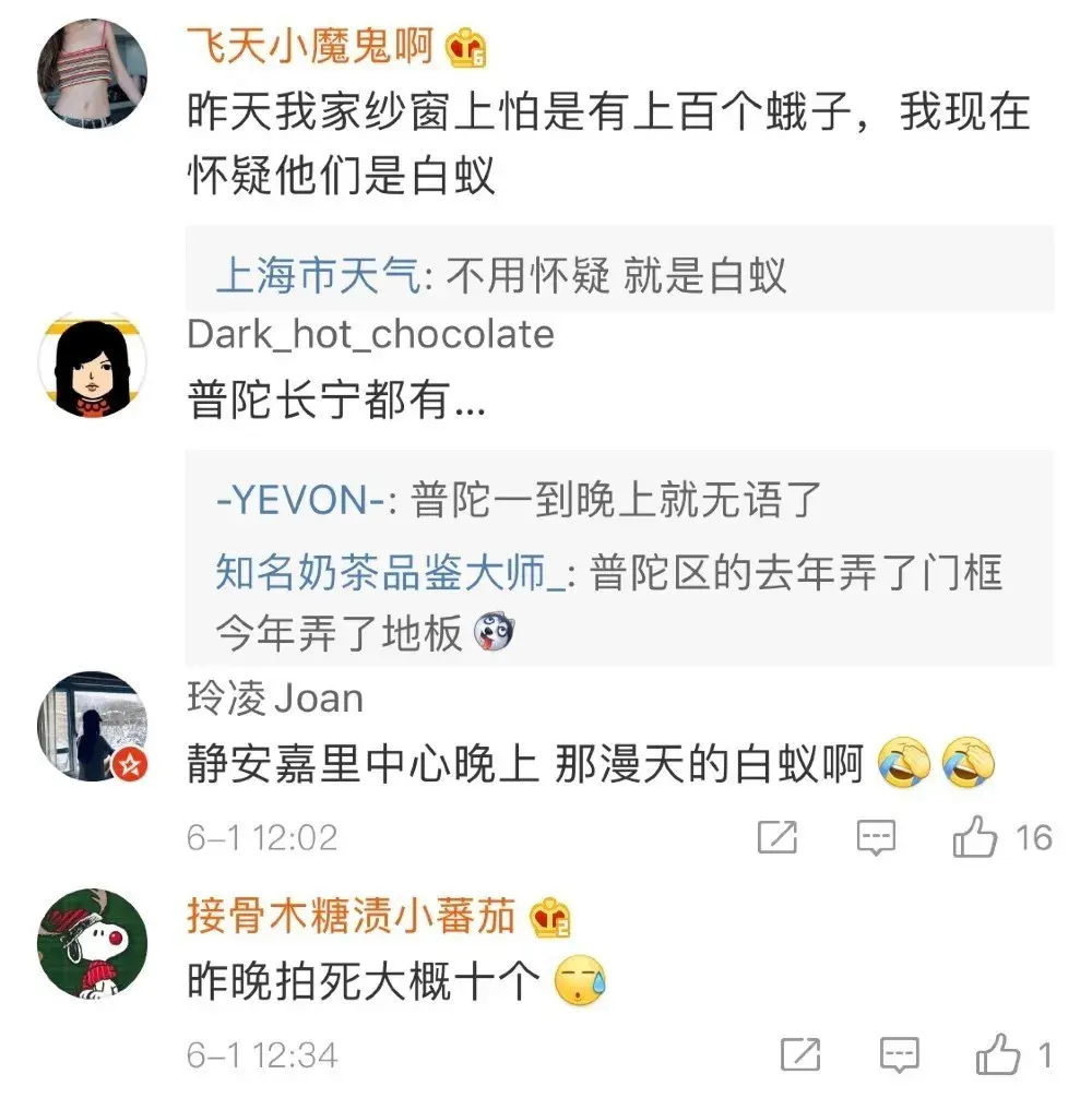 灭白蚁药_白蚁药灭白蚁的原理_灭白蚁药的主要成分