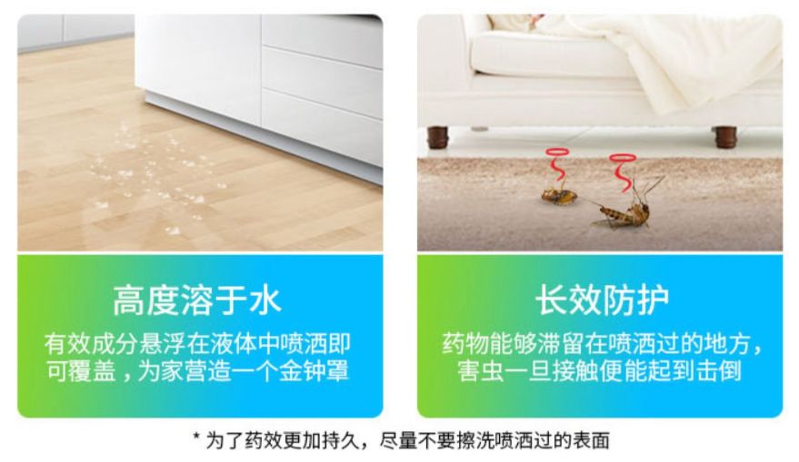 灭苍蝇宣传_苍蝇拍广告语_灭苍蝇服务