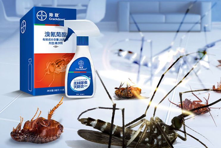 苍蝇拍广告语_灭苍蝇服务_灭苍蝇宣传