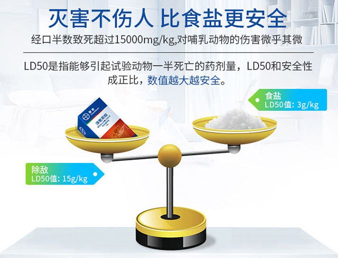 苍蝇拍广告语_灭苍蝇服务_灭苍蝇宣传