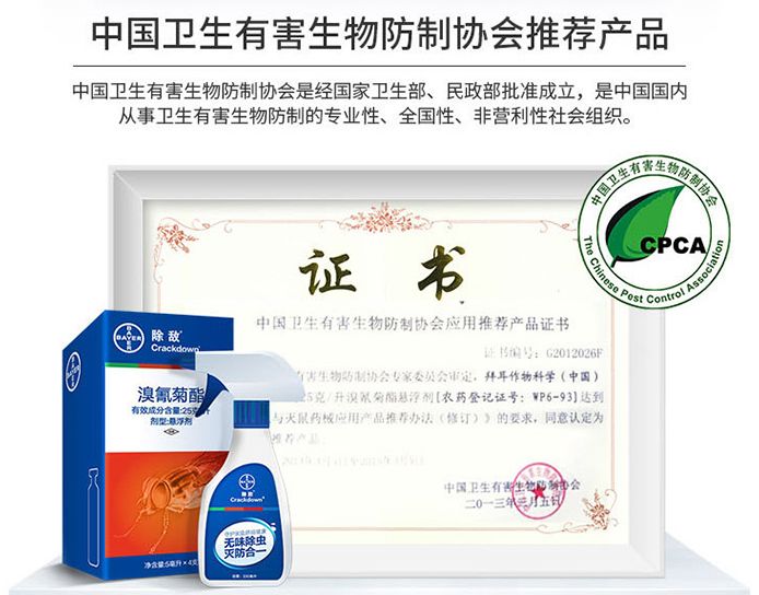 苍蝇拍广告语_灭苍蝇宣传_灭苍蝇服务