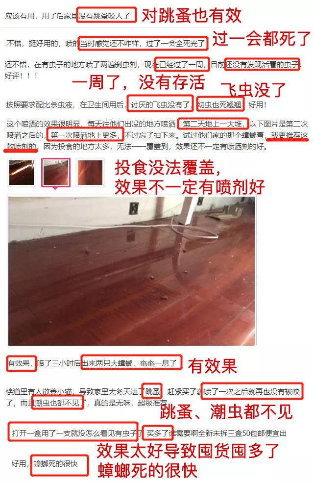灭苍蝇宣传_灭苍蝇服务_苍蝇拍广告语