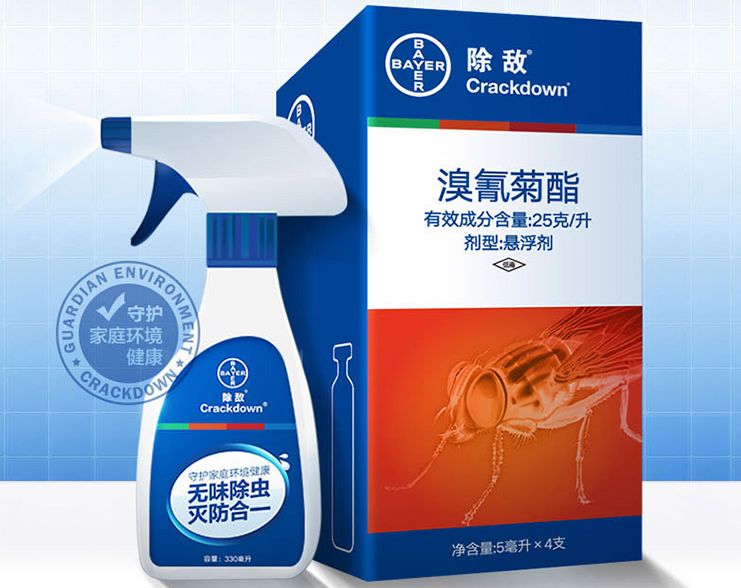 灭苍蝇服务_苍蝇拍广告语_灭苍蝇宣传