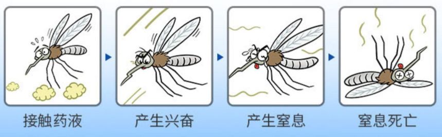 灭苍蝇服务_苍蝇拍广告语_灭苍蝇宣传