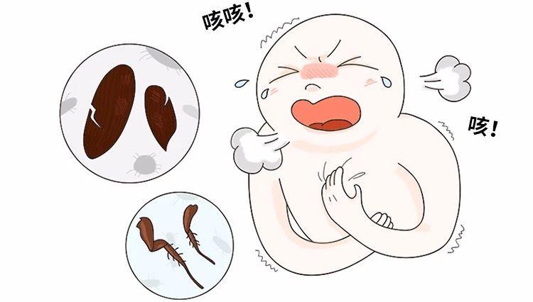 家里放一物绝对没蟑螂_蟑螂在家里跑不见了怎么办_蟑螂不进卧室