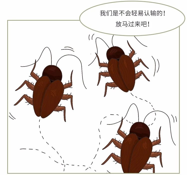 家里放一物绝对没蟑螂_蟑螂不进卧室_蟑螂在家里跑不见了怎么办