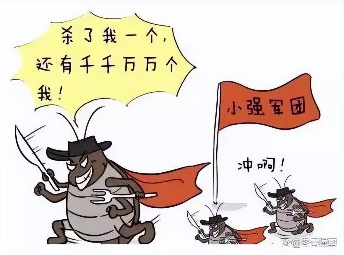 蟑螂不进房间_家里放一物绝对没蟑螂_蟑螂在家里跑不见了怎么办