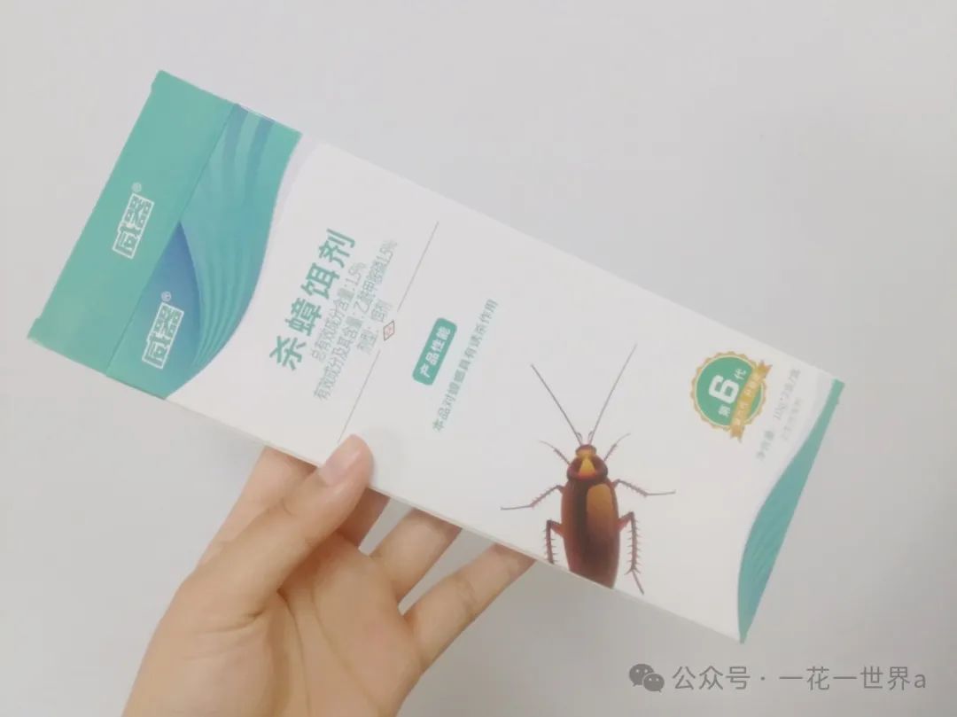 蟑螂不进房间_蟑螂在家里跑不见了怎么办_家里放一物绝对没蟑螂