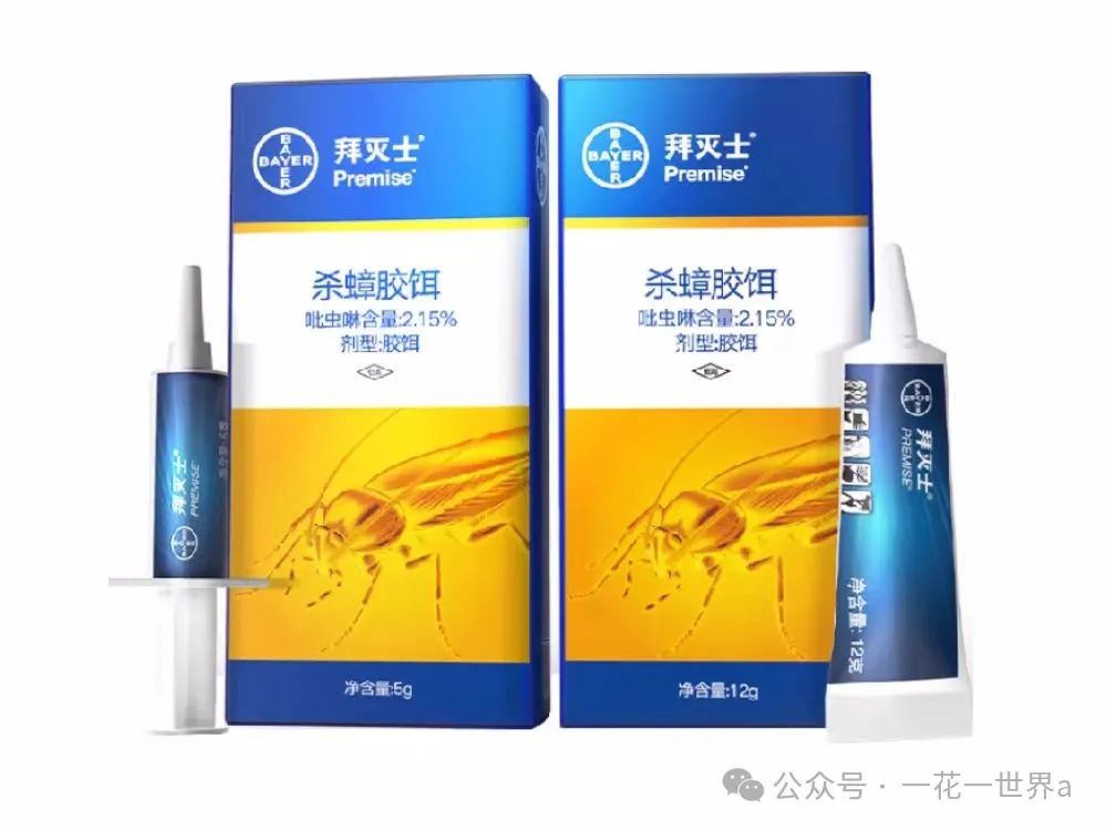 蟑螂在家里跑不见了怎么办_家里放一物绝对没蟑螂_蟑螂不进房间