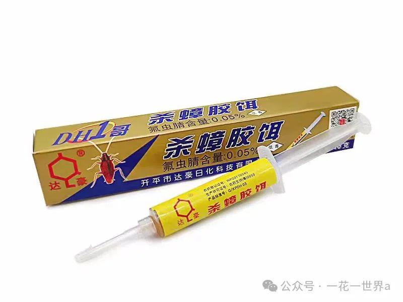 家里放一物绝对没蟑螂_蟑螂不进房间_蟑螂在家里跑不见了怎么办