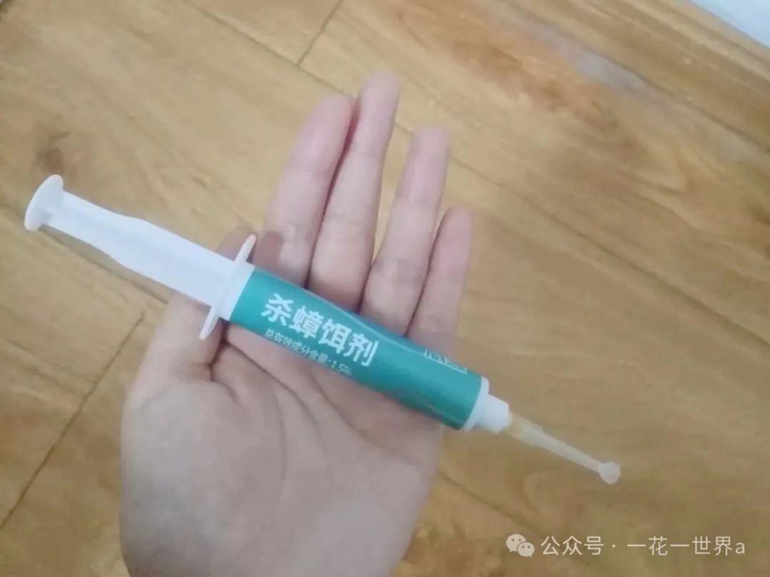 家里放一物绝对没蟑螂_蟑螂不进房间_蟑螂在家里跑不见了怎么办