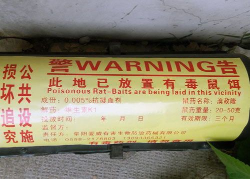 灭老鼠的方法有哪些_老鼠如何灭_老鼠怎么消灭老鼠