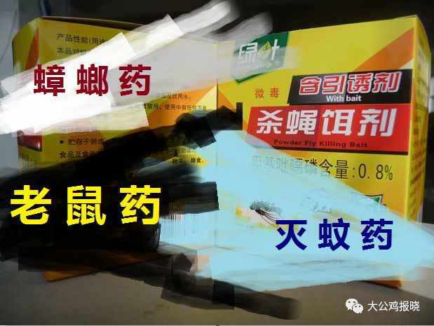 灭臭虫的中药_灭臭虫的药_中药杀臭虫