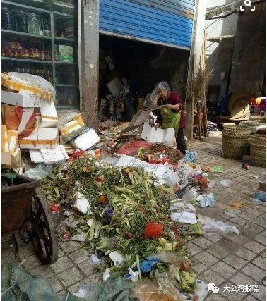 灭臭虫的药_中药杀臭虫_灭臭虫的中药
