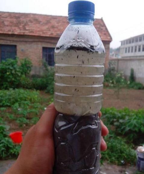 教你1分钟自制“杀虫水”，浇水加1勺，根壮不生虫！
