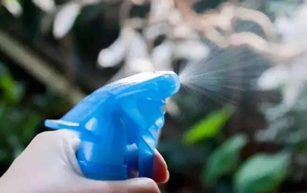 自制万能杀虫水视频_自制作杀虫水_10种自制杀虫水