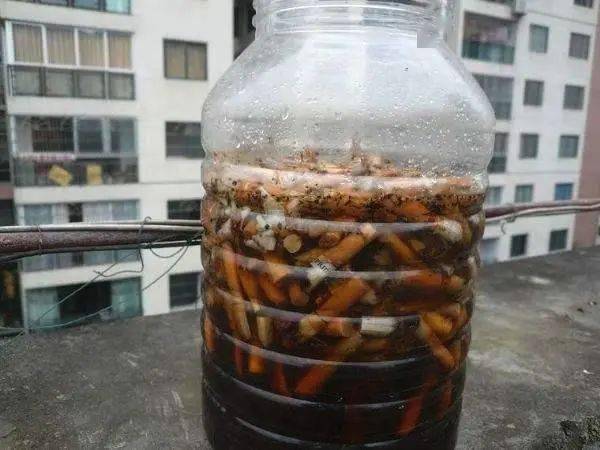 10种自制杀虫水_自制万能杀虫水视频_自制作杀虫水