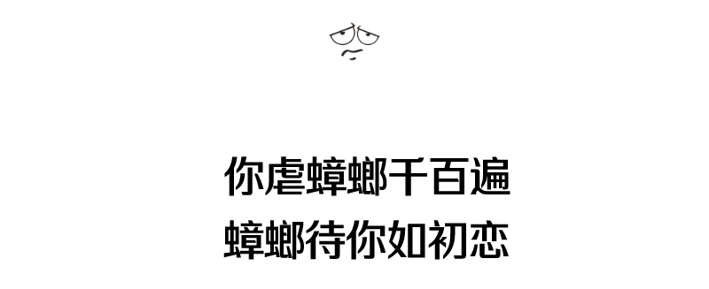 蟑螂在家里跑不见了怎么办_家里放一物绝对没蟑螂_蟑螂不进房间