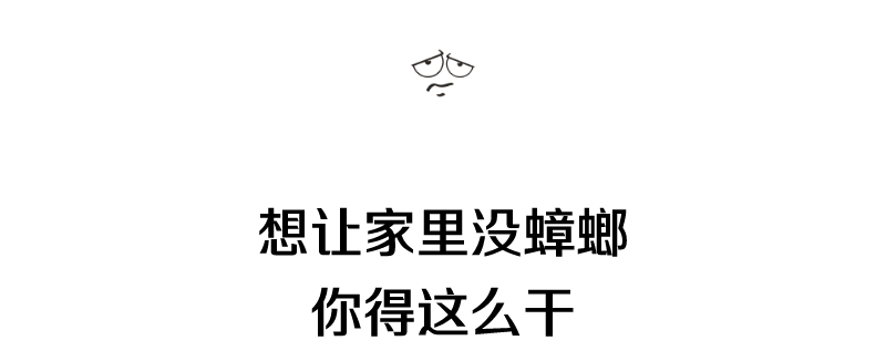 蟑螂在家里跑不见了怎么办_家里放一物绝对没蟑螂_蟑螂不进房间