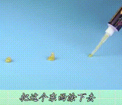 蟑螂在家里跑不见了怎么办_蟑螂不进房间_家里放一物绝对没蟑螂