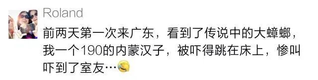 家里放一物绝对没蟑螂_蟑螂不进房间_蟑螂在家里跑不见了怎么办