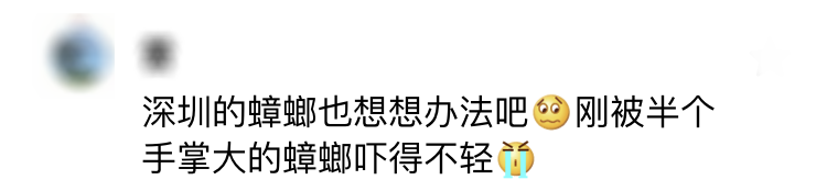 蟑螂不进房间_蟑螂在家里跑不见了怎么办_家里放一物绝对没蟑螂
