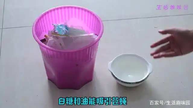 灭苍蝇妙招配方_苍蝇用什么方法灭最好_苍蝇杀灭