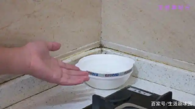 灭苍蝇妙招配方_苍蝇杀灭_苍蝇用什么方法灭最好