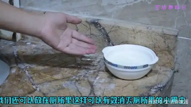 灭苍蝇妙招配方_苍蝇用什么方法灭最好_苍蝇杀灭